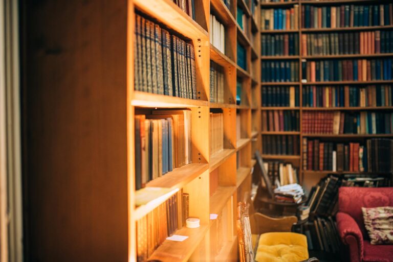 old library with a couch and chairs and old books