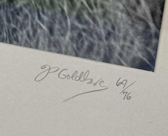 Jim Goldberg (American, b. 1953) Greek Archbishop Grandview Auctions Jim Goldberg (American, b. 1953) Greek Archbishop Grandview Auctions