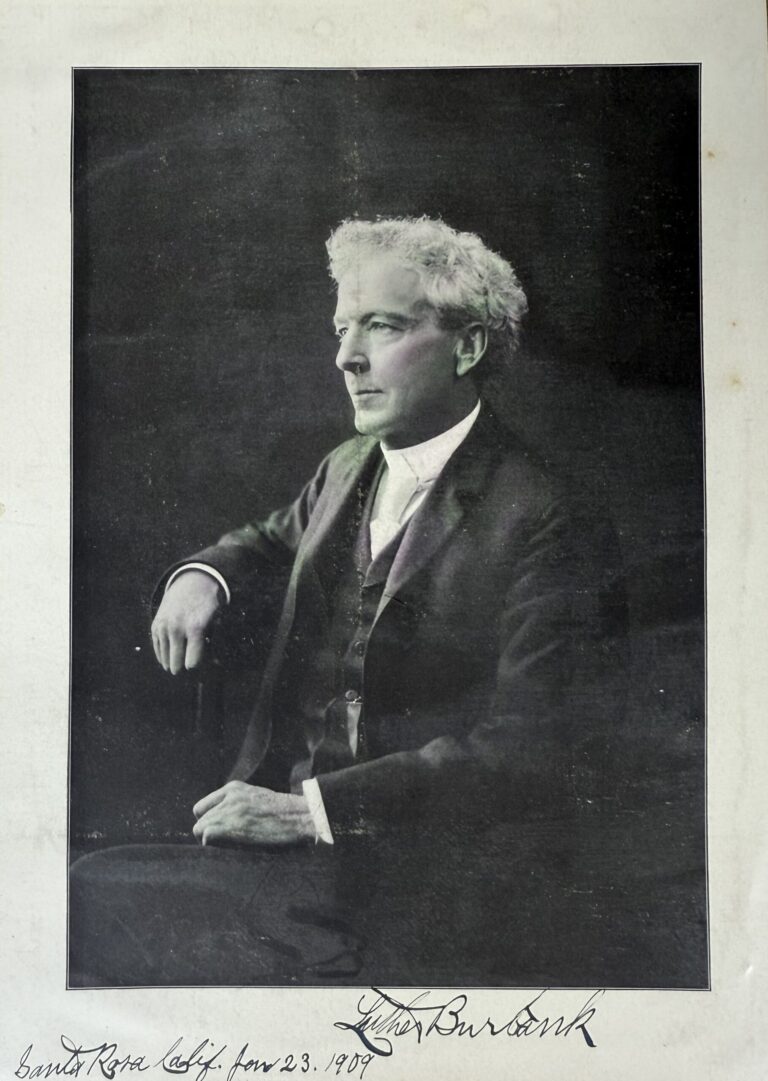 grandview art and auctions rare document 2026 auction